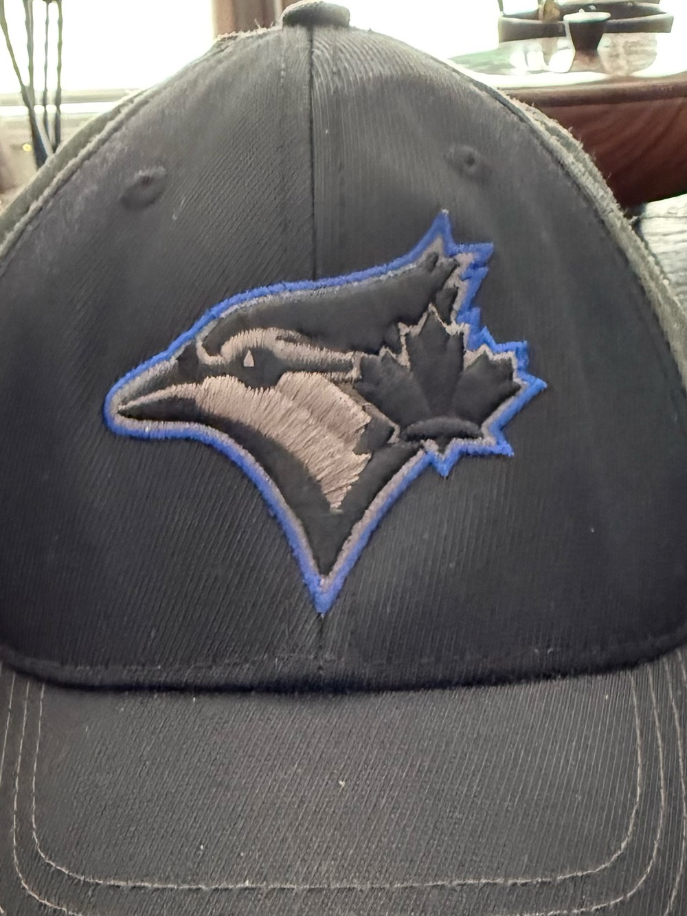 Genuine Merchandise Black & Blue Toronto Blue Jays Logo Baseball Cap